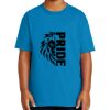 Youth Ultra Cotton ® 100% US Cotton T Shirt Thumbnail