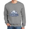 DryBlend ® Crewneck Sweatshirt Thumbnail