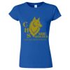 Women's Softstyle® T-Shirt Thumbnail